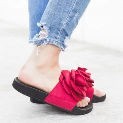 Refresh Rose Fashion Slides